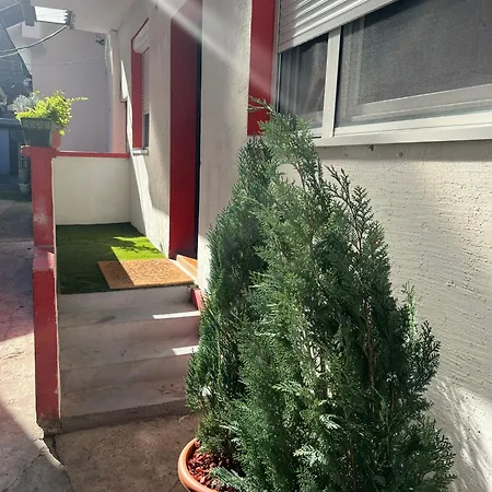 Appartement Dorcol Vs60